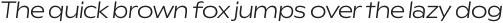 Rioma Light Nord Italic otf (300)