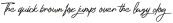 Photographer Script otf (400)
