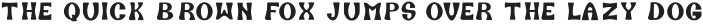 EXPRESSION SESSION Regular otf (400)