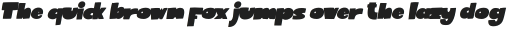 Mollusca Display Regular Italic otf (400)