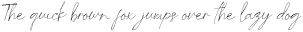 Last Signature Script otf (400)