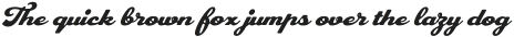 PlastunScript-Rounded otf (400)