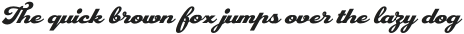 PlastunScript otf (400)