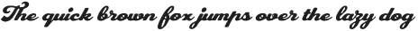 PlastunScript-Rough otf (400)