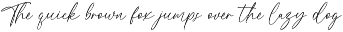 Hamilton // Classy Calligraphy Font preview