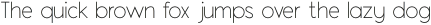 Luciano Display Light otf (300)
