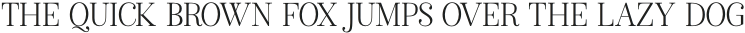 American Favorite Serif Regular otf (400)