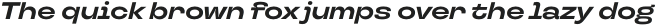 TT Travels Next Bold Italic otf (700)