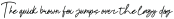 Elsaleina ttf (400)