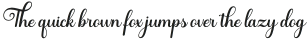 Shocking Script Light otf (300)