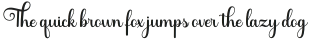 Shocking Script Regular otf (400)
