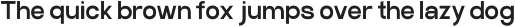 Craftwork Sans Black otf (900)