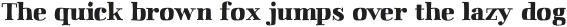 BandoSerif Solid otf (400)