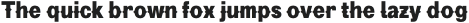 Pitmaster Thin Italic otf (100)