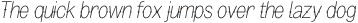 Pitmaster Regular Italic otf (400)