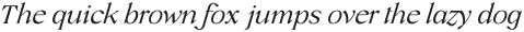 Crucial Light Italic otf (300)