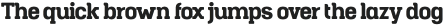 Ottine Slab Regular otf (400)
