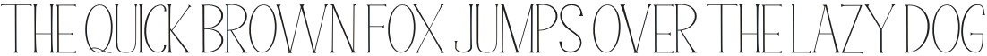 Super Natural Italic Regular otf (400)