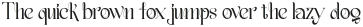 Romanova Fungus Regular otf (400)