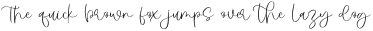 Vogius Signature otf (400)