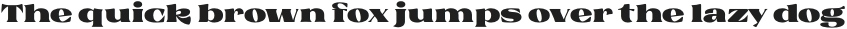 Rochek Display otf (400)