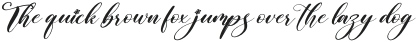 Regista Italic otf (400)