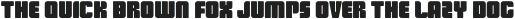 Cosmonaut Black otf (900)