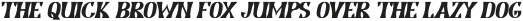 LD-Retrotype Italic Type 2 otf (400)