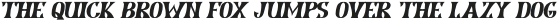LD-Retrotype Italic Type 1 otf (400)