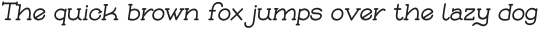 Skybird Bold Italic otf (700)