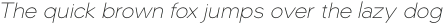 Normal Thin Italic otf (100)