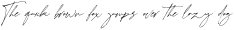 CharlotteSignature-Regular otf (400)