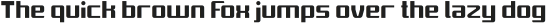 Love Is Attention-Light otf (300)
