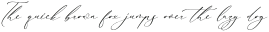 Rematho Klorofiland Script Italic otf (400)