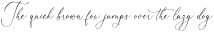 Molgiant Belliontera Script otf (400)