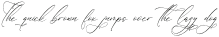Megitran Carolinesh Script Italic otf (400)