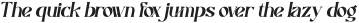 Cautics Italic ttf (400)