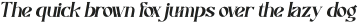 Cautics Italic otf (400)