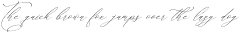 Storyline Regario Script Italic otf (400)
