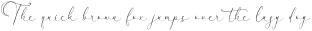 Fanttor Howery Script otf (400)
