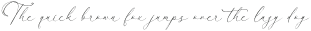 Fanttor Howery Script Italic otf (400)