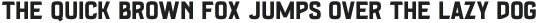 Ramenson Sans otf (400)