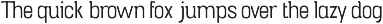 Crabs Slab Serif Font preview