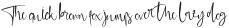 Centhiny otf (100)