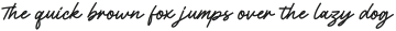 Daily Spark Script otf (400)