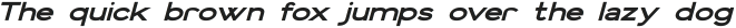 Vista Nordic Black Italic ttf (900)