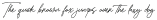 Backflipsalt otf (400)