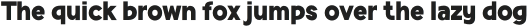 Racoti Black otf (900)