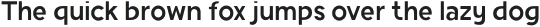 Racoti-Regular otf (400)
