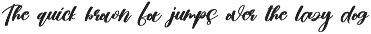 Beach | Script Font preview